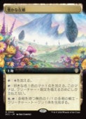 ��MTG��(JPN)(��ĥ������) ˭���ʺ߶�(ECC) �ϡ��쥢