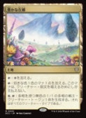��MTG��(JPN) ˭���ʺ߶�(ECC) �ϡ��쥢