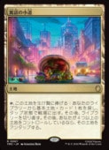 ��MTG��(JPN) ���äξ�ƻ(TMC) �ϡ��쥢