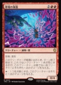 ��MTG��(JPN)(������FOIL) ���Ťγ���(TMC) �֡��쥢