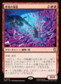 ��MTG��(ENG)(������FOIL) ���Ťγ���(TMC) �֡��쥢