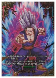 ドラゴンボールスーパーカードゲーム フュージョンワールド】(FB09