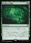 ��MTG��(ENG) �������줿�˱�(SOC) �С����å쥢