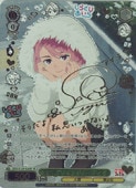 �ڥ����������������ġ�(DDD) ������ƥ��å������ ������(SP)(S129-026SP)��SP