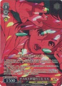 �ڥ����������������ġ�(DDD) ������Ȥ����Ƥ� ���(SR)(S129-046SR)��SR