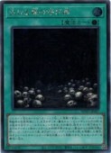 ��ͷ������������ӤθƤ���(S)(WPP7-JP007)����������åȥ쥢