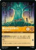 �ڥǥ����ˡ������륫�ʡ�(DLC13)(Foil) �����ڤΤ��Ф����� (DLC11)(U)(13/204)��