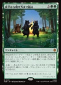 ��MTG��(ENG) ��Ⱦ�����������ޤ��٤�(HOB) �С����å쥢