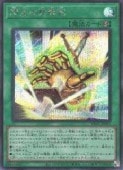 ��ͷ������������������(S)(YAC1-JP021)����������åȥ쥢