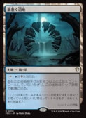 ��MTG��(JPN) ����������(FRC) �ϡ��쥢