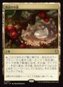 ��MTG��(ENG) ���äξ�ƻ(FRC) �ϡ��쥢