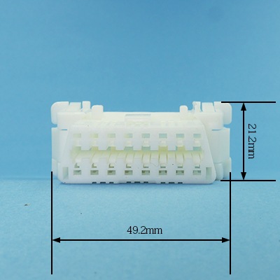 �ϣ£ķ������˥᥹���ͥ��������򿧡�