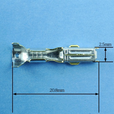 �ƣң����᥹�����ߥʥ�