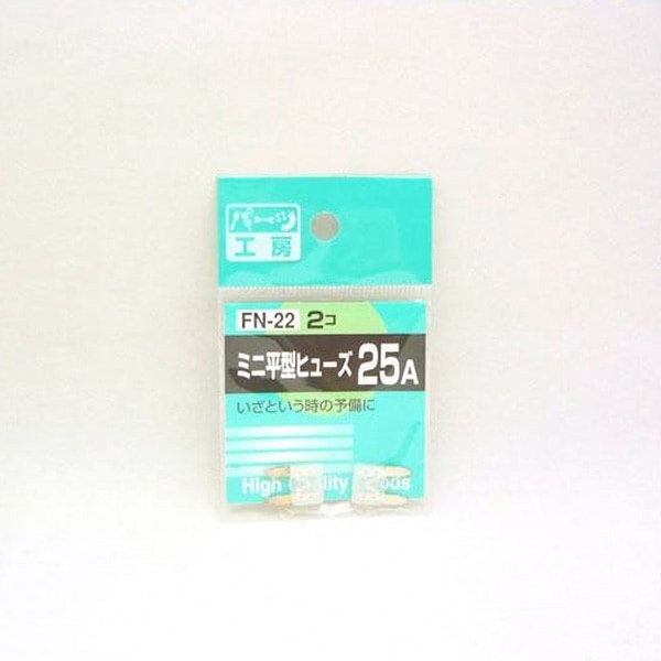  �ѡ��Ĺ�˼���ߥ�ʿ���ҥ塼�� 25A 2���� FN-22