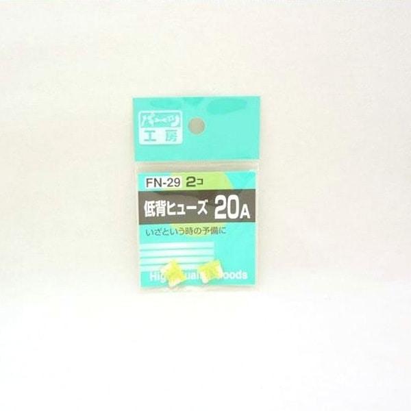  ѡĹ˼إҥ塼 20A 2 FN-29