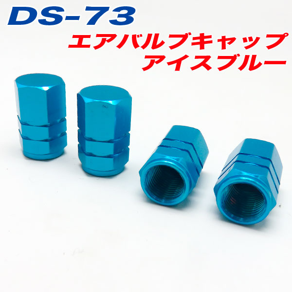  �����Х�֥���å� �� �Х��� �������֥롼 ICE BLUE 4���� ����ե� DS-73