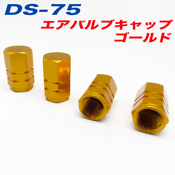  �����Х�֥���å� �� �Х��� ������� GOLD 4���� ����ե� DS-75