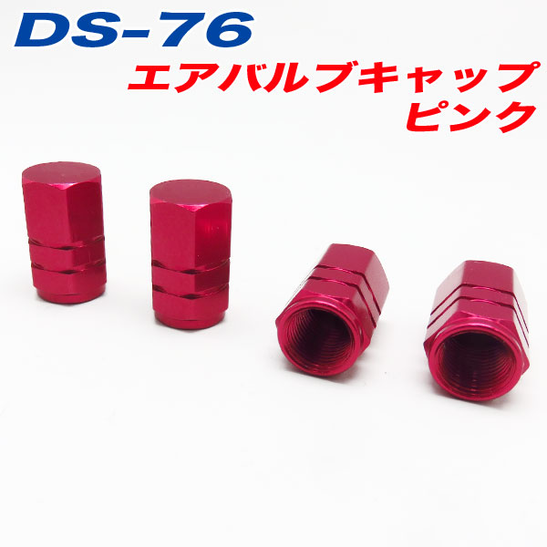  �����Х�֥���å� �� �Х��� �ԥ� PINK 4���� ����ե� DS-76