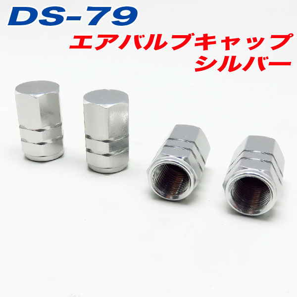  �����Х�֥���å� �� �Х��� ����С� SILVER 4���� ����ե� DS-79