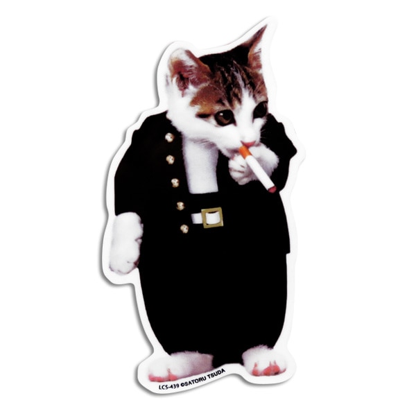  �ʤ�ǭ �ʤ�ͤ� ���ƥå��� �� �ꥢ���饹 ��䥬�饹 �Х�ѡ� ���ޥ� �إ��02 ������/���ͥ�륹�ƥå��� LCS-439