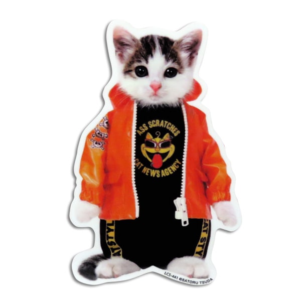  �ʤ�ǭ �ʤ�ͤ� ���ƥå��� �� �ꥢ���饹 ��䥬�饹 �Х�ѡ� ���ޥ� �ѡ�����/���ͥ�륹�ƥå��� LCS-441