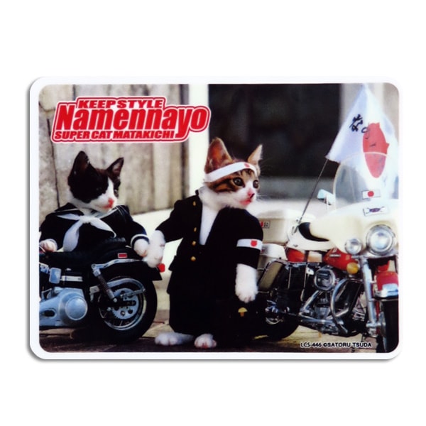  �ʤ�ǭ �ʤ�ͤ� ���ƥå��� �� �ꥢ���饹 ��䥬�饹 �Х�ѡ� ���ޥ� ���� ˽��²/���ͥ�륹�ƥå��� LCS-446