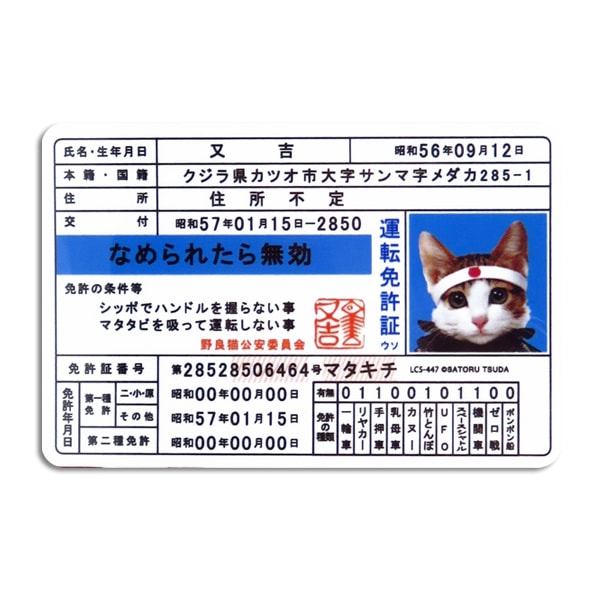  �ʤ�ǭ �ʤ�ͤ� ���ƥå��� �� �ꥢ���饹 ��䥬�饹 �Х�ѡ� ���ޥ� �ȵ��� ��ž�ȵ�/���ͥ�륹�ƥå��� LCS-447