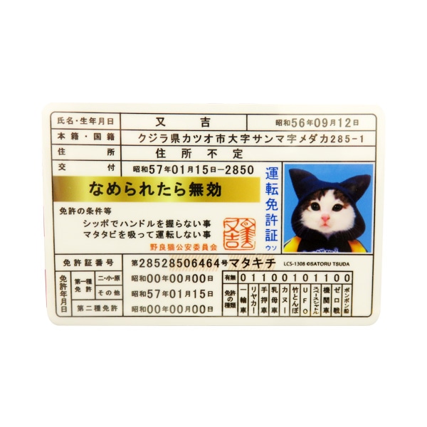 ���ͥ�륹�ƥå��� �ʤ�ǭ ���ƥå��� �ȵ��� ���� �ʤ��ʤ� �ǥ����� ������ �ͥ� �� �ꥢ���饹 �Х�ѡ� LCS-1308