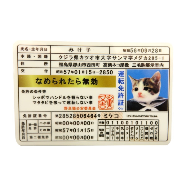 ���ͥ�륹�ƥå��� �ʤ�ǭ ���ƥå��� �ȵ��� �ߤ��� �ʤ��ʤ� �ǥ����� ������ �ͥ� �� �ꥢ���饹 �Х�ѡ� LCS-1310