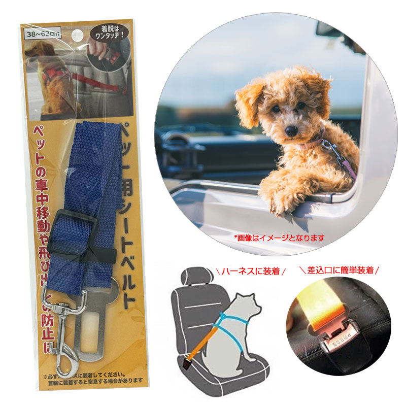 �ڥå��ѥ����ȥ٥�� �֥롼 �������淿���� 38��62cm ���ӽФ��ɻߤ� ǭ�Բ� �ϡ��ͥ������� �ϥ��ϥ� HH-1038