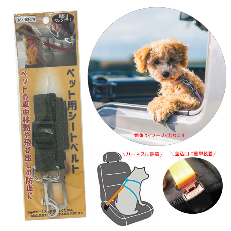 �ڥå��ѥ����ȥ٥�� ������ �������淿���� 38��62cm ���ӽФ��ɻߤ� ǭ�Բ� �ϡ��ͥ������� �ϥ��ϥ� HH-1039