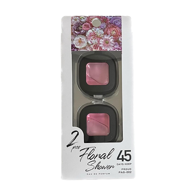 ˧��� �ե�����륷���ι�� ����������շ� 2���� �ý����� ������ ��� ��Ĺ45����³ �ץ饦�� PAG-002