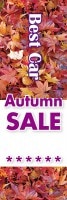 Best Car��Autumn SALE�äΤܤ�(10���)