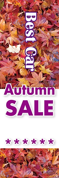 Best Car��Autumn SALE�äΤܤ�(10���)