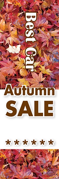 Best Car��Autumn SALE�äΤܤ�(10���)