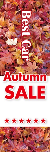 Best Car��Autumn SALE�äΤܤ�(10���)
