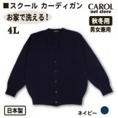 ˥åȥǥ  륫ǥ 4L   ͥӡ  ե Ӷ̤ˤʤˤ ŵɻ Ȥ   ե