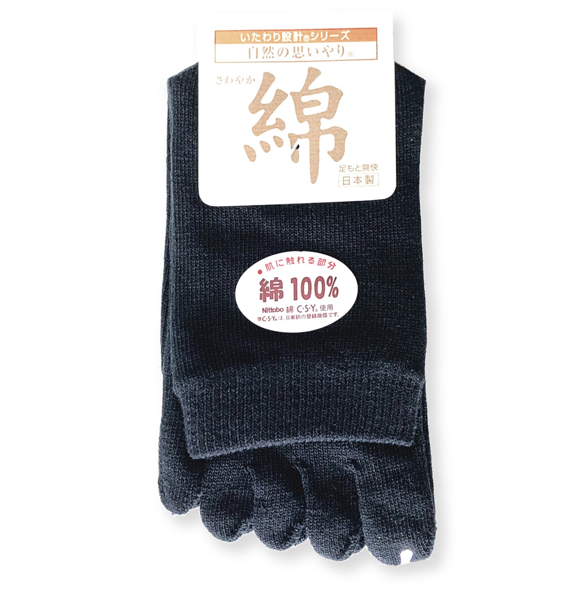 ���� ���å��� ���ܻ� �� ����䤫 �ֲ� �ؿ��� ��ǥ����� ���Ĥ��� 22-24cm �� �����λפ���� ��������߷� ������ ���ɷ����ȹ� ��Ϸ���� ����� ������