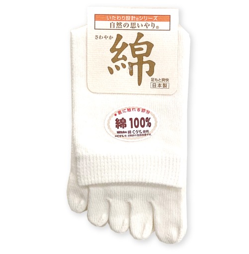 ���� ���å��� ���ܻ� �� ����䤫 �ֲ� �ؿ��� ��ǥ����� ���Ĥ��� 22-24cm �� �����λפ���� ��������߷� ������ ���ɷ����ȹ� ��Ϸ���� ����� ������