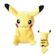 ぬいぐるみ ポケットモンスター ティッシュ入れ ポケットティッシュ ポケモン ピカチュウ ゲンガー ティッシュマスコット 大人 子供 