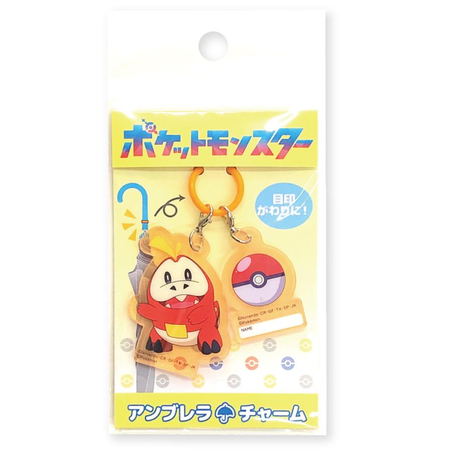 ֥㡼 㡼 ̾ ݥ pokemon ܰ å  ꥳ  ݥåȥ󥹥 ᡼