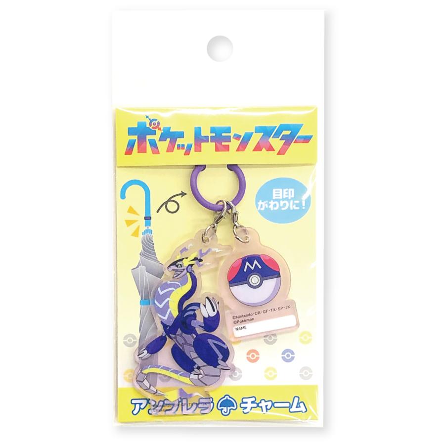 ֥㡼 㡼 ̾ ݥ pokemon ܰ å  ꥳ  ݥåȥ󥹥 ᡼