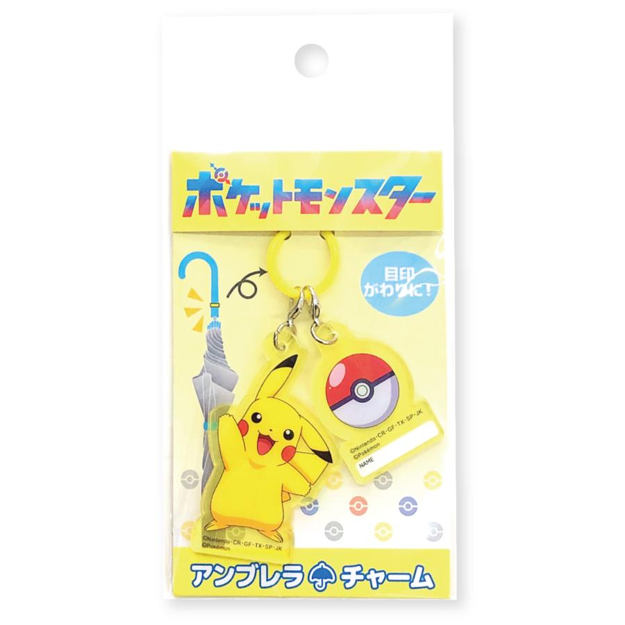 ֥㡼 㡼 ̾ ݥ pokemon ܰ å  ꥳ  ݥåȥ󥹥 ᡼