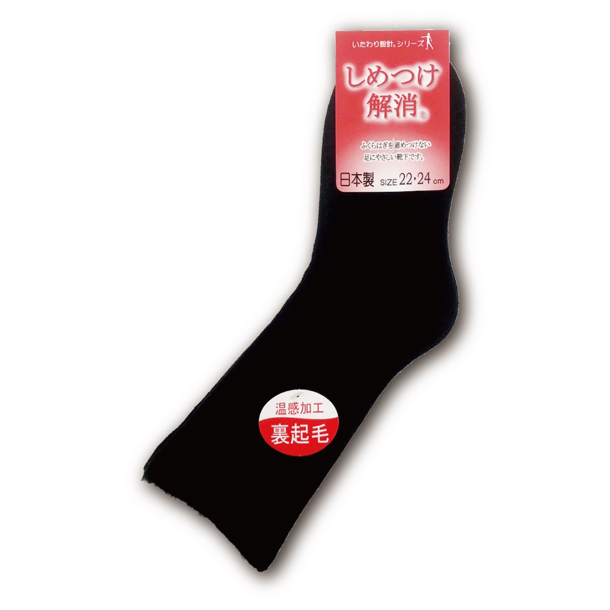  ؿ Ȥ Ĥ ΢ 22-24cm  ݲ  ɴ ץ쥼 Ϸ 롼ॽå 