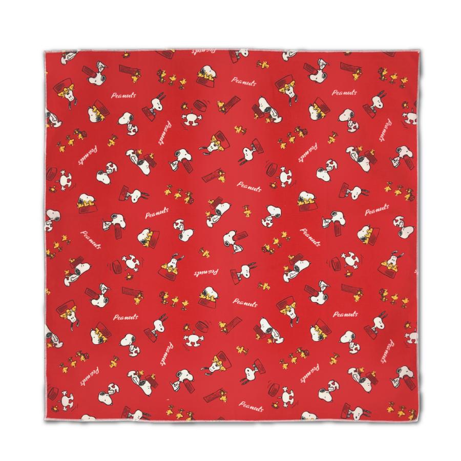 ���������� �ʥե��� ���̡��ԡ� �٥��ޥå��� BIGHERO6 �뿩 ���� ������ ������ ����� ���������� �� ������