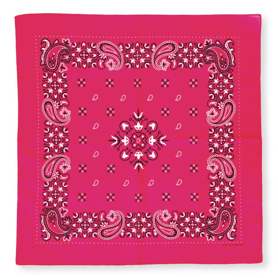 �Х���� �ϥ󥫥� ���Ѷ� �ڥ����꡼ ���������� �ʥե��� 54��54cm �Ҷ� ���� ��� ��100�� ��ư�� ������ �᡼����