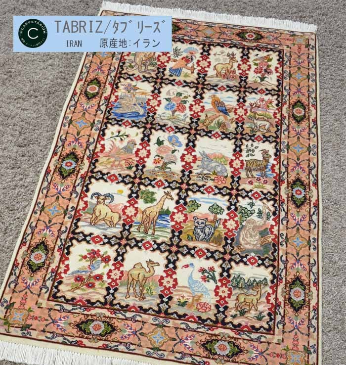 Ｍ11079　タブリーズ