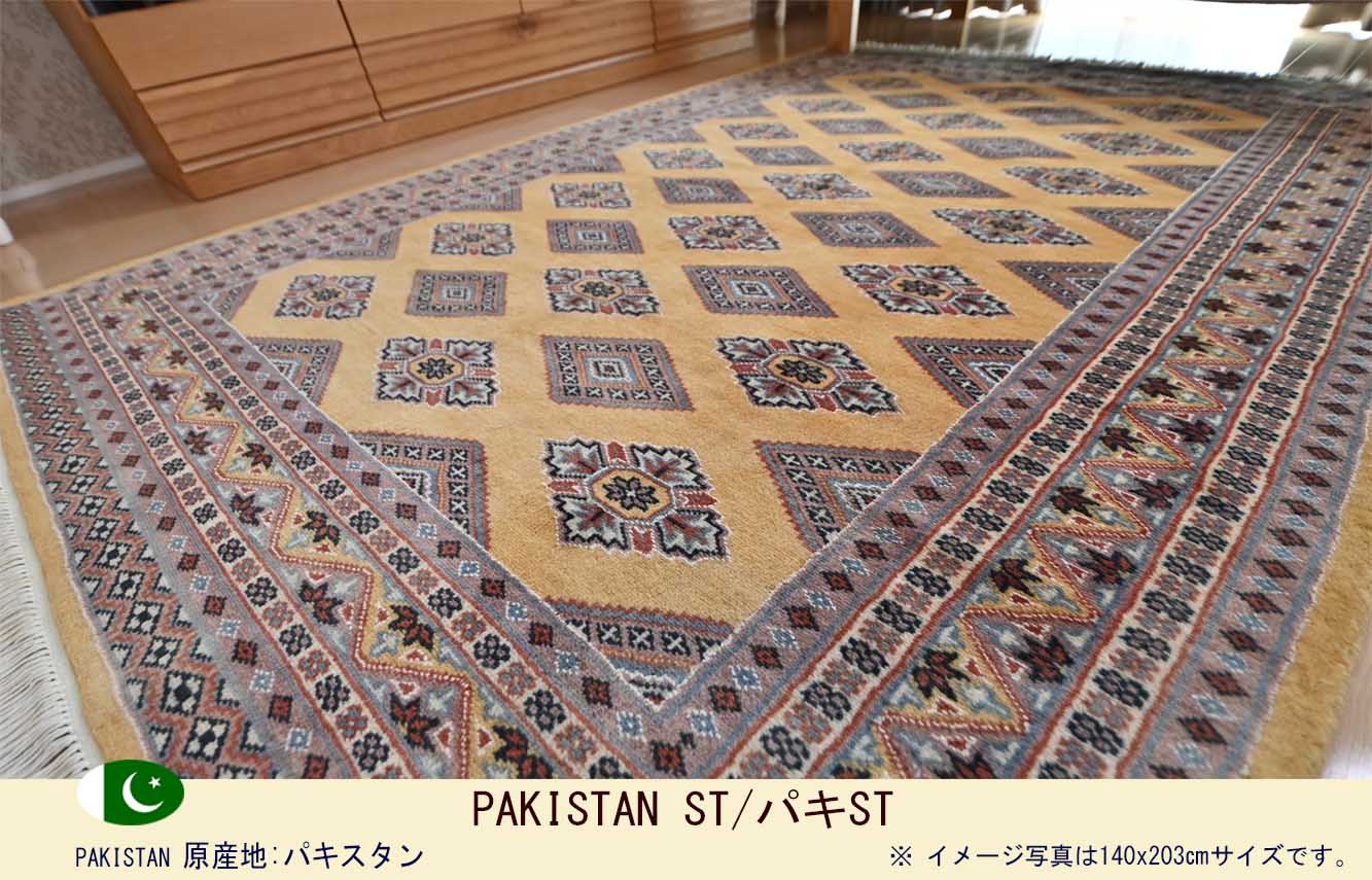 Ｍ03856　パキST