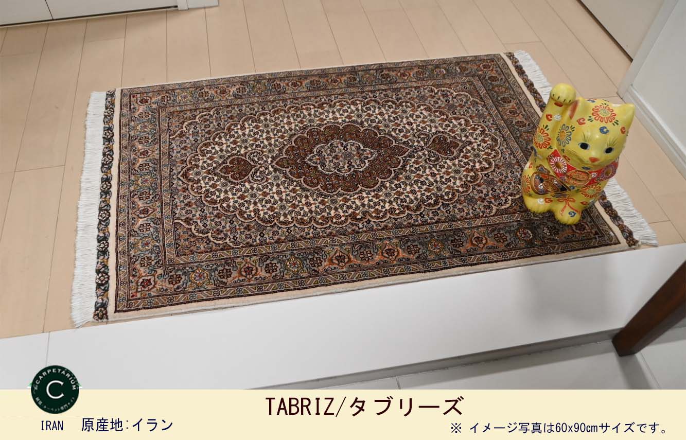 Ｍ10054　タブリーズ