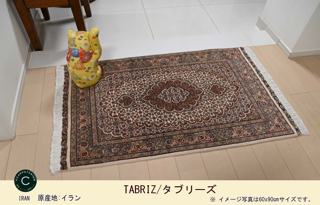 Ｍ10054　タブリーズ